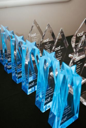 aaf_HonorsAwards_2023-4